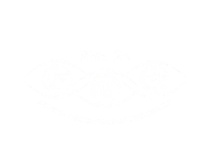 A3E2S Logo